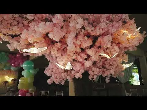 Vídeo de Evento Social no Sítio de Fátima
